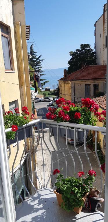 Vila Nikolla - Image 1