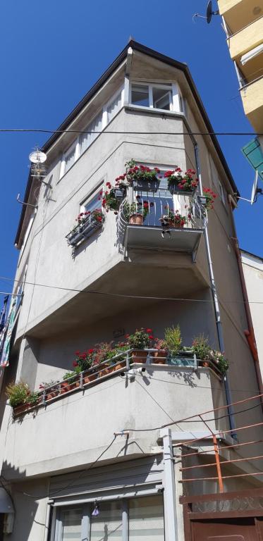 Vila Nikolla - Image 11