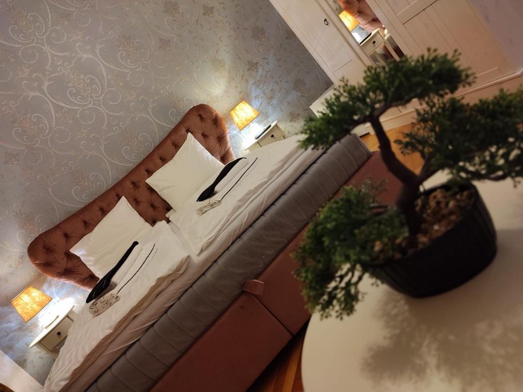 a living room with a couch and a potted plant at Chic Home in Sibiu