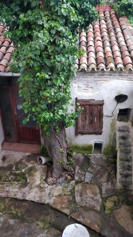 AIRAM Home ARAGON, 7, Almansa – Precios actualizados 2022