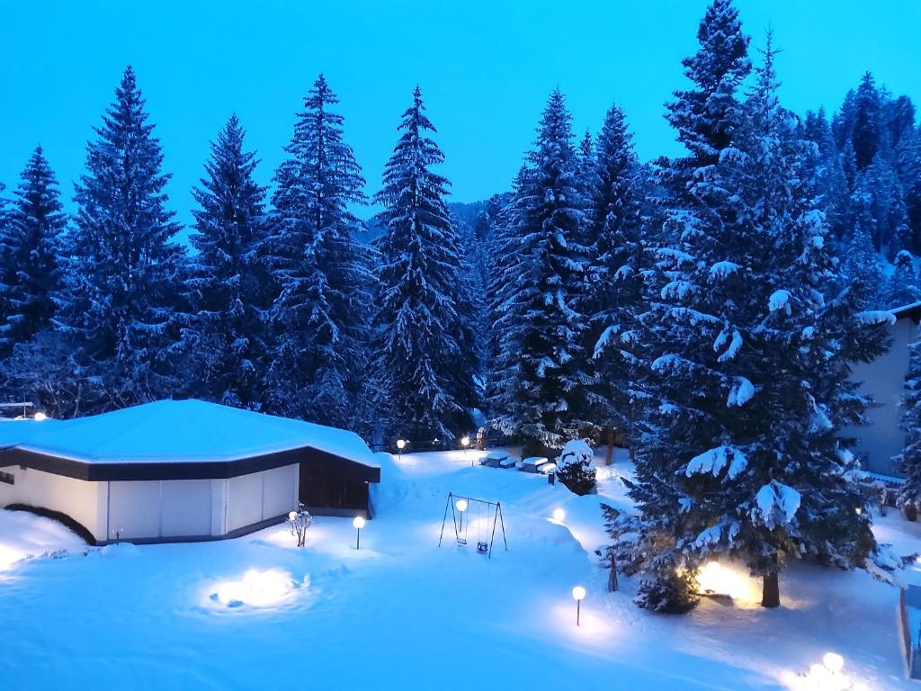 Laax Rancho Studio Apartment v zimě
