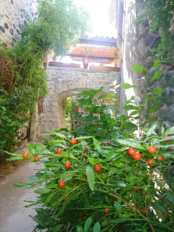 Saint-Germain – Photos 5