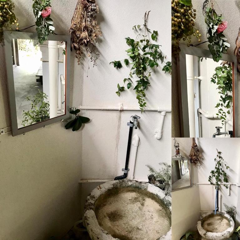 a bathroom with a toilet with plants on the wall at Travelers House おーさんてぃん青空舎 in Taketomi
