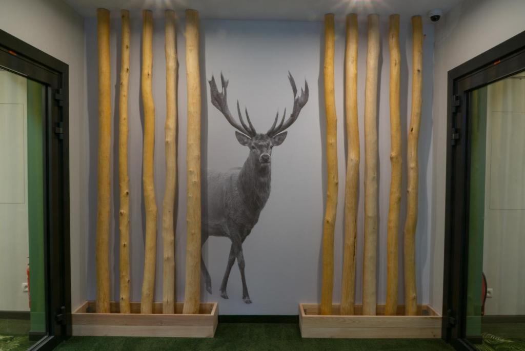 Turmalin Apartamenty - 10