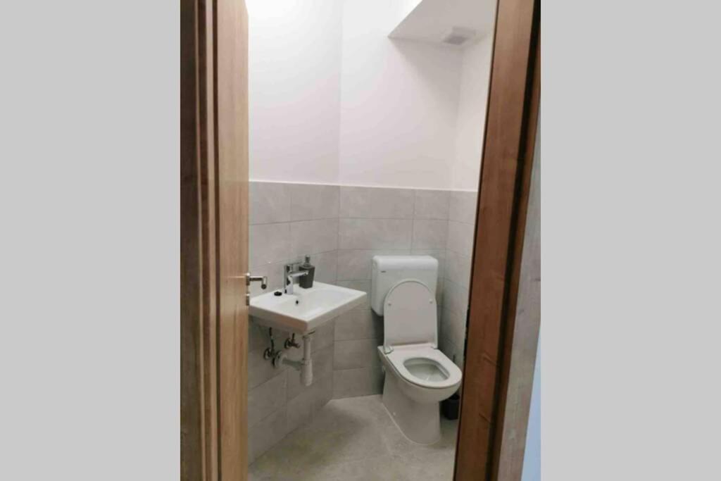 Kúpeľňa v ubytovaní Deluxe apartman “ Koromačna”
