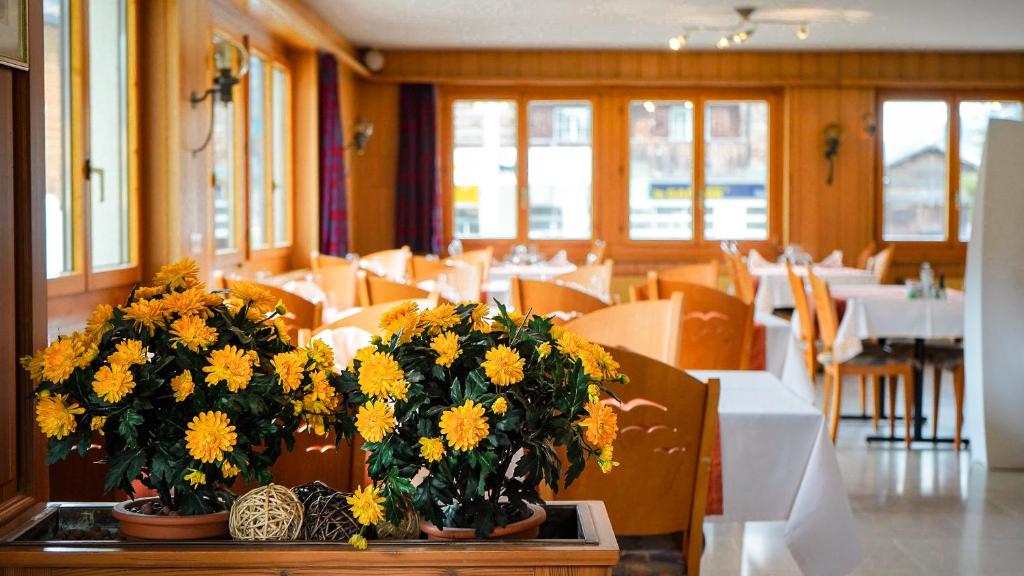Posezení v ubytování Hotel Alpina