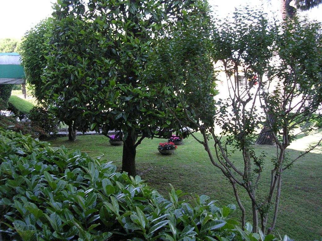 Zahrada ubytování CerrutiHotel