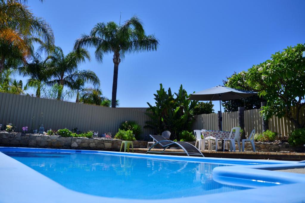 a swimming pool with chairs and an umbrella and palm trees at Palms Bed & Breakfast in Perth