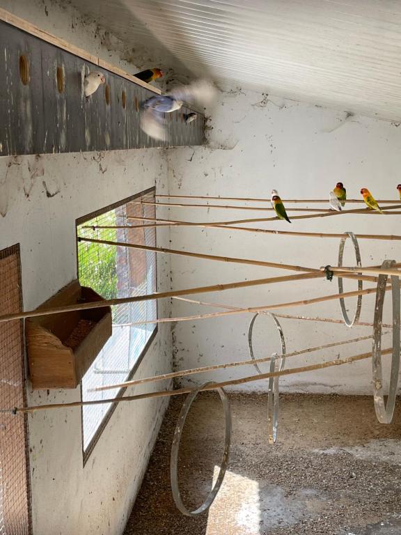 Fotografie z fotogalerie ubytování Parel van Bever - Perle de Biévène v destinaci Bever