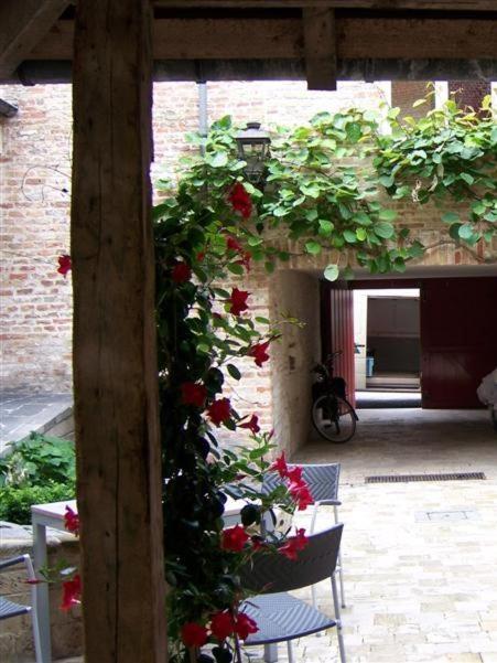 Zahrada ubytování Hotel Adornes