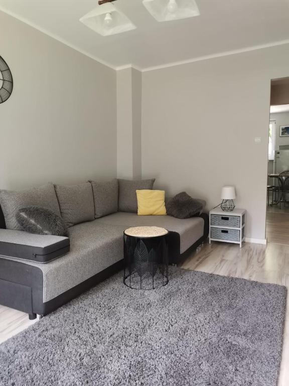 Apartament Pionierska - One-Bedroom Apartment