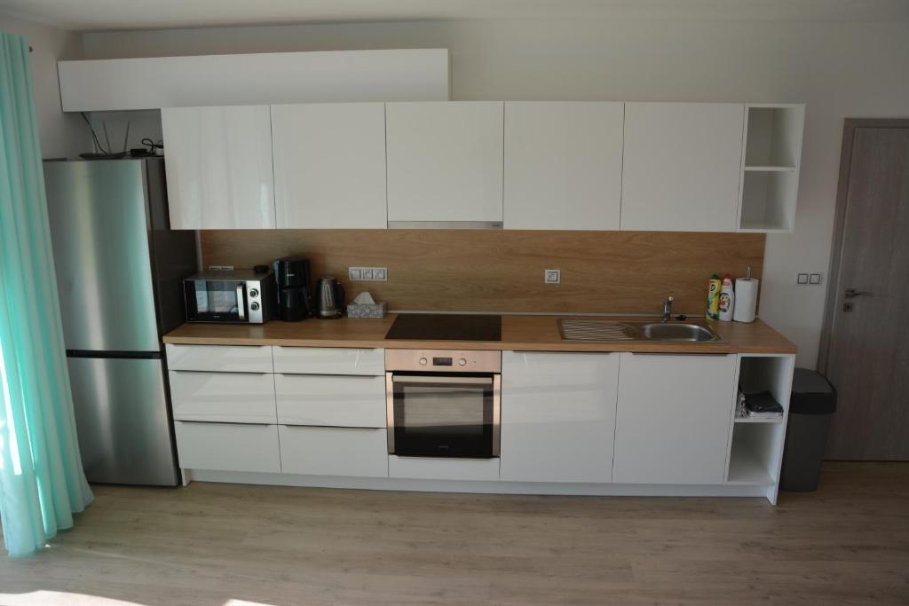 Kuchyň nebo kuchyňský kout v ubytování Apartmány U Evy