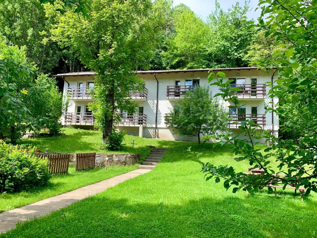 un edificio en medio de un patio verde en Casa Flori de Sare en Slănic