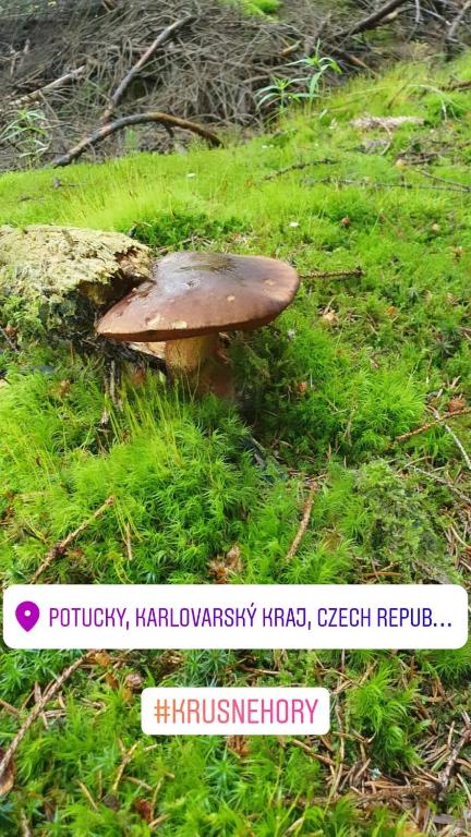 Fotografie z fotogalerie ubytování Apartmány Stráň v destinaci Potŭčky