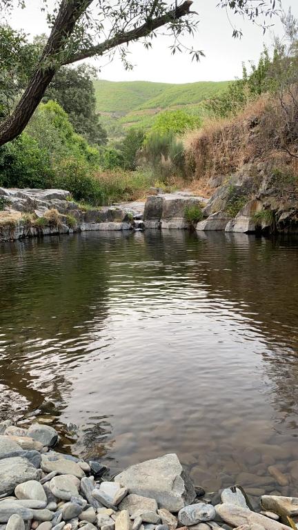 Un río con rocas en el medio. en Casas Rurales Prunus Avium, en Cambrón