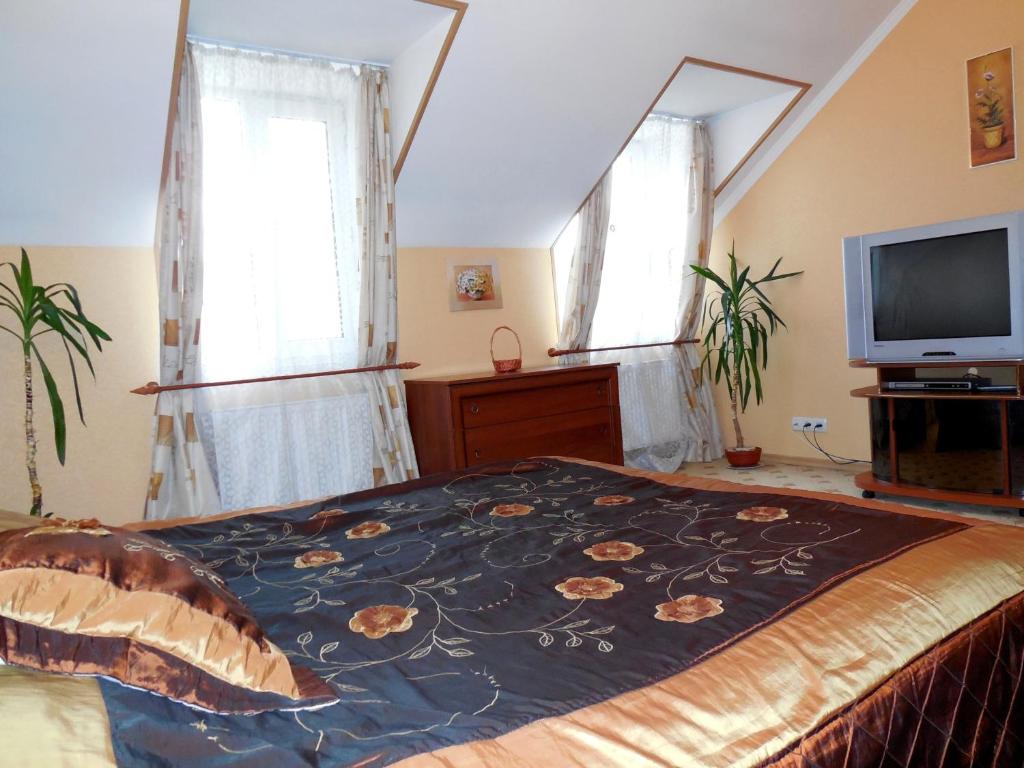 Ekaterininskaya Apartments في أوديسا: غرفة نوم بها سرير وتلفزيون و نافذتين