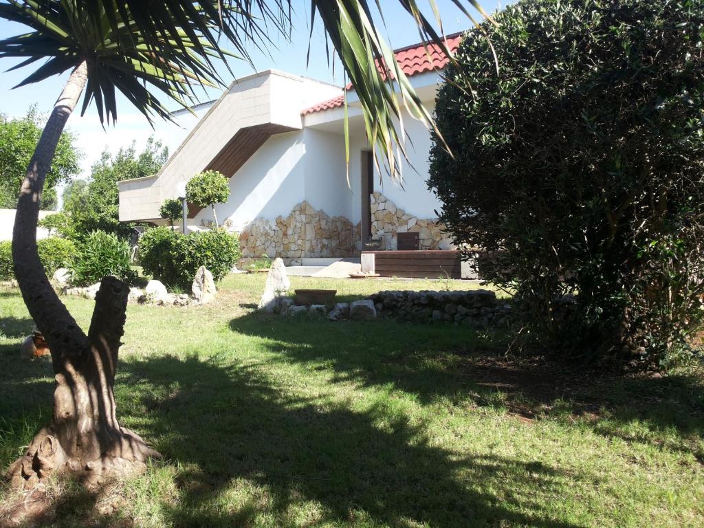 a house with a palm tree in the yard at Chalet del Mare in Porto Cesareo