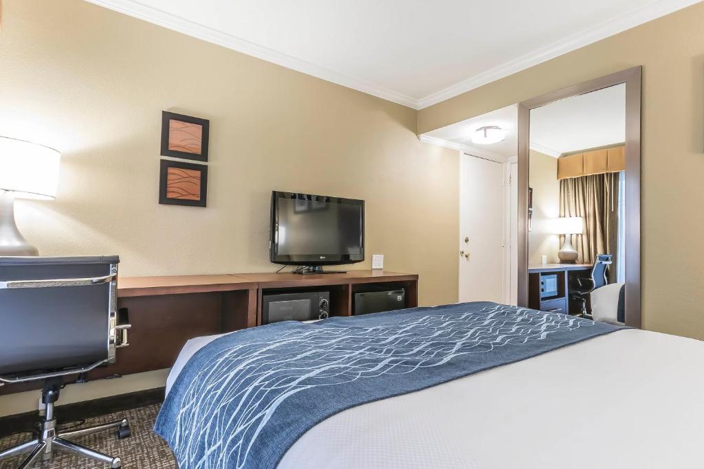 Comfort Inn Sunnyvale - Silicon Valley - Chambre Standard, 1 Grand Lit, Non-fumeur