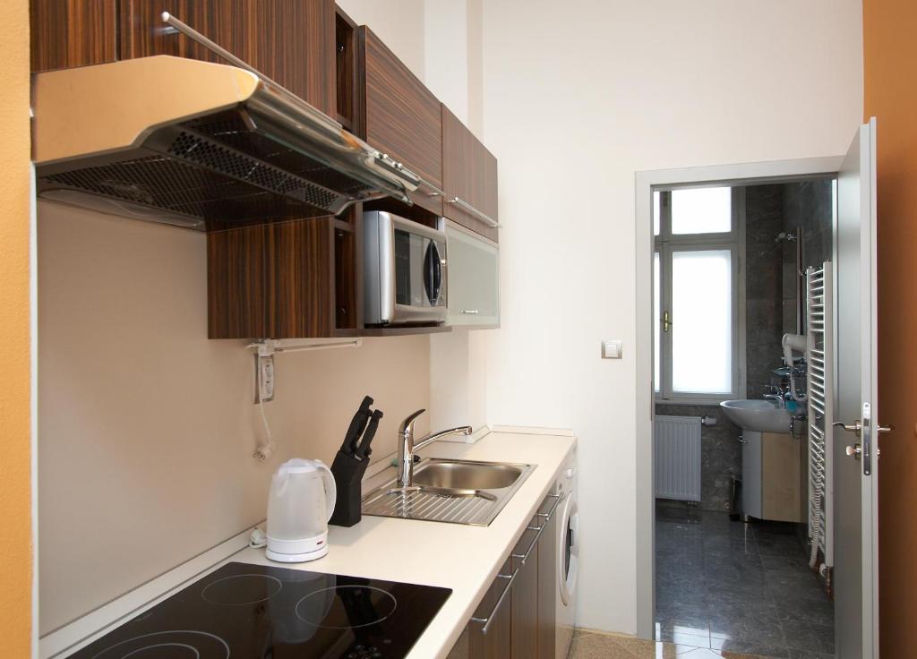 Residence U Cerné Veže Ceské Budejovice - Resim 38