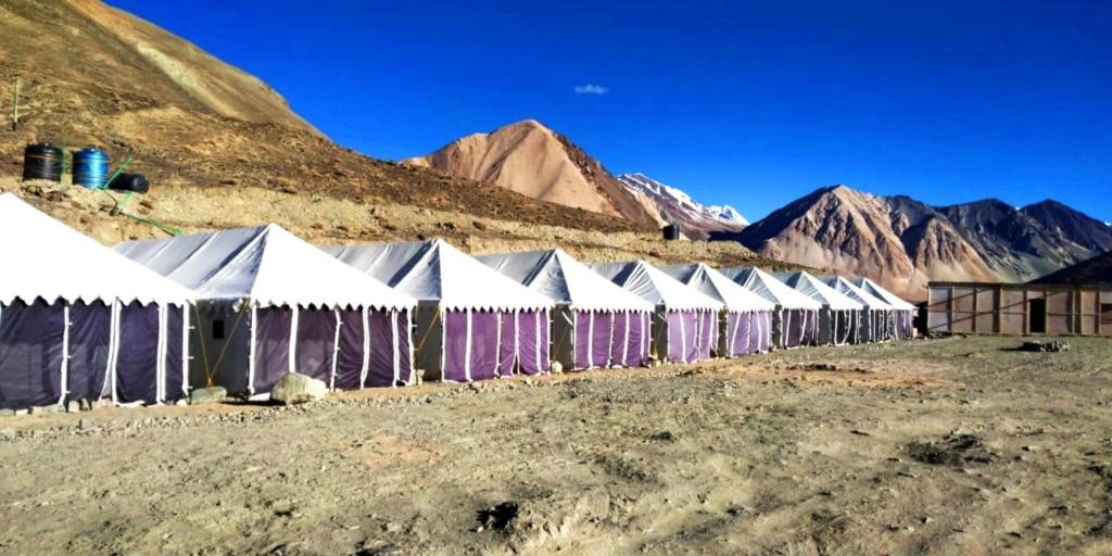 a row of tents in a field in the mountains at TIH Good Luck Guest House With Camps in Spangmik