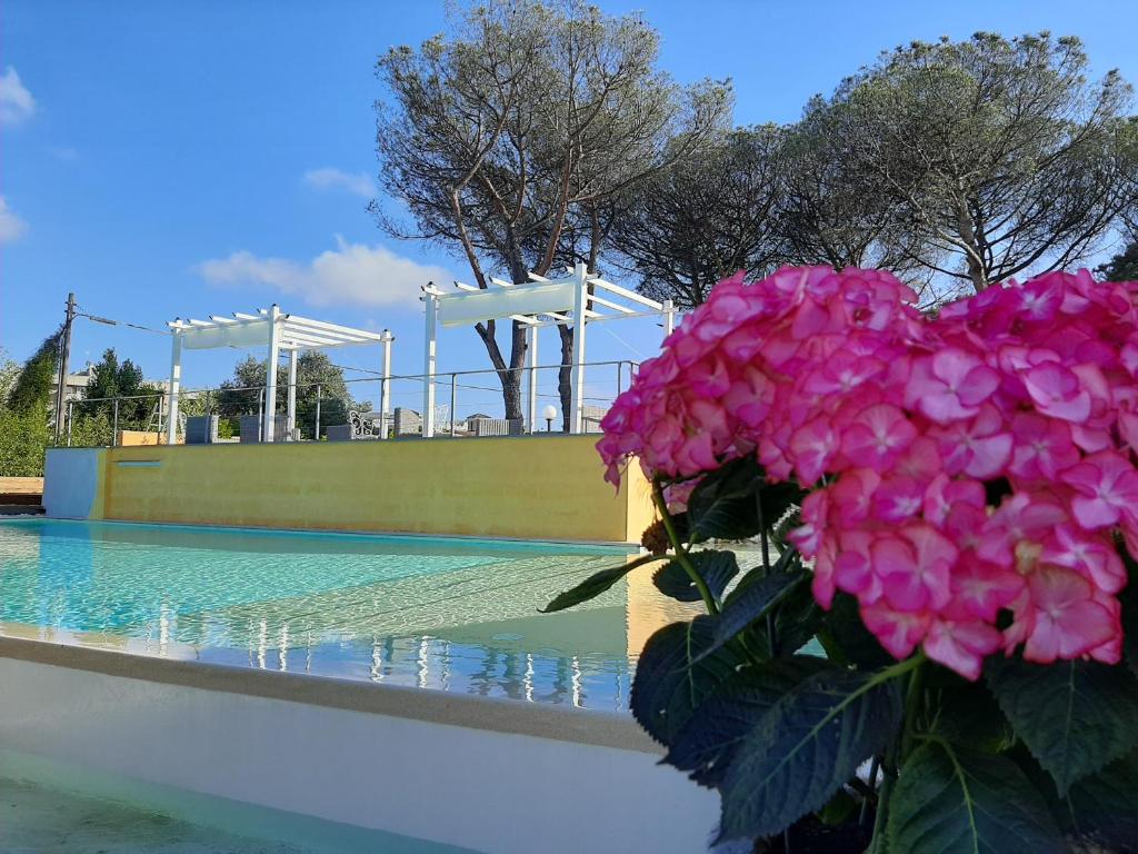 Orto Di Roma - Resim 22