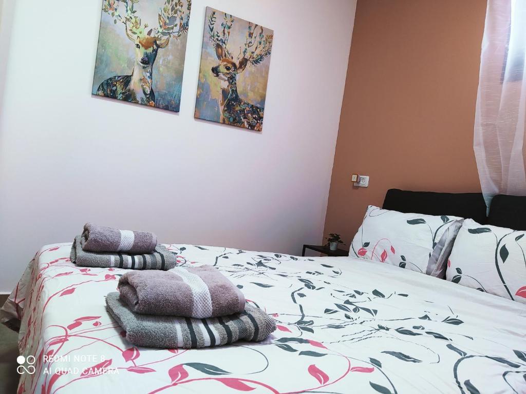 1 dormitorio con 1 cama con toallas en the comfort place רותם המדבר, en Merhav Am