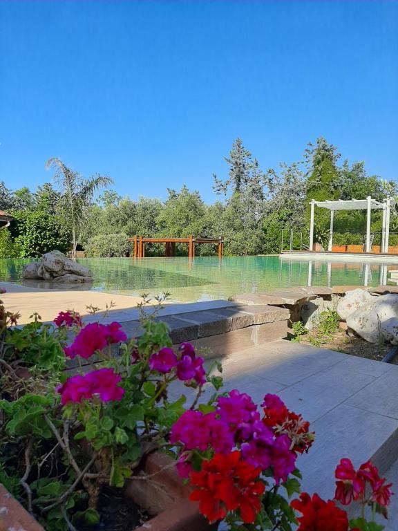 Antica Locanda Palmieri - Resim 31