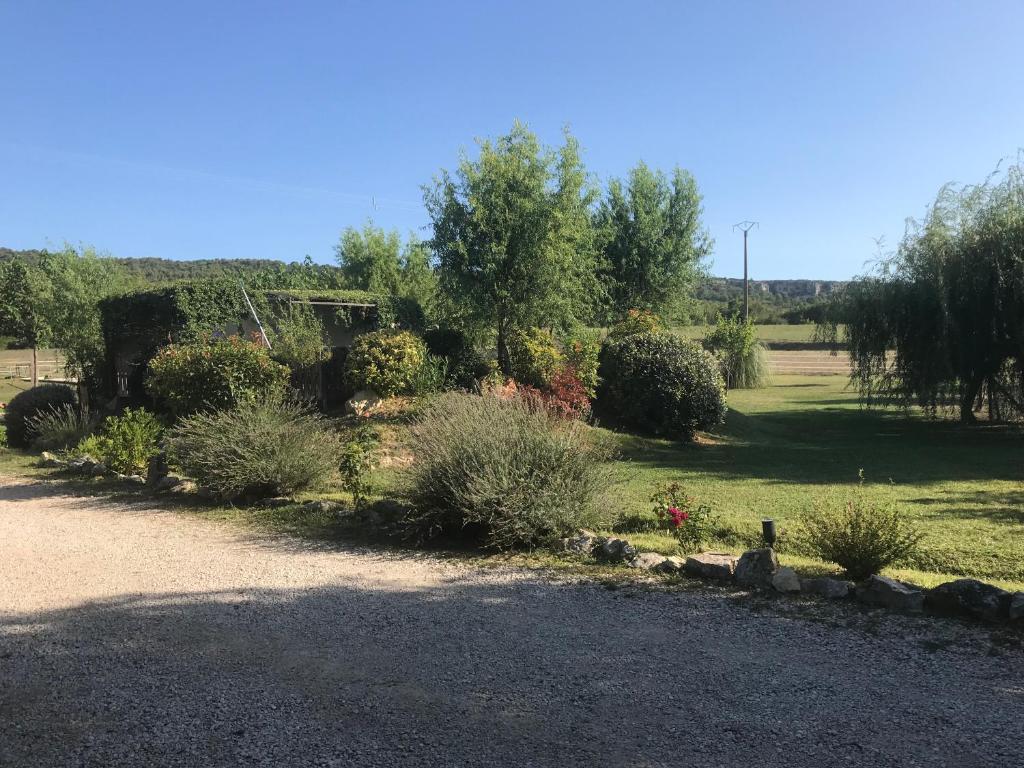 a garden with a bunch of bushes and trees at Le Prunier Lou Mas Li Pitchoun in Gordes