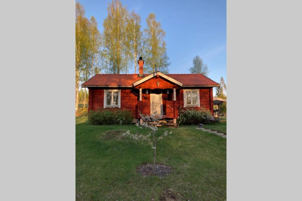 una pequeña casa de ladrillo con un árbol en el patio en Trevlig stuga med endast 300 m till Dalälven., en Rudö