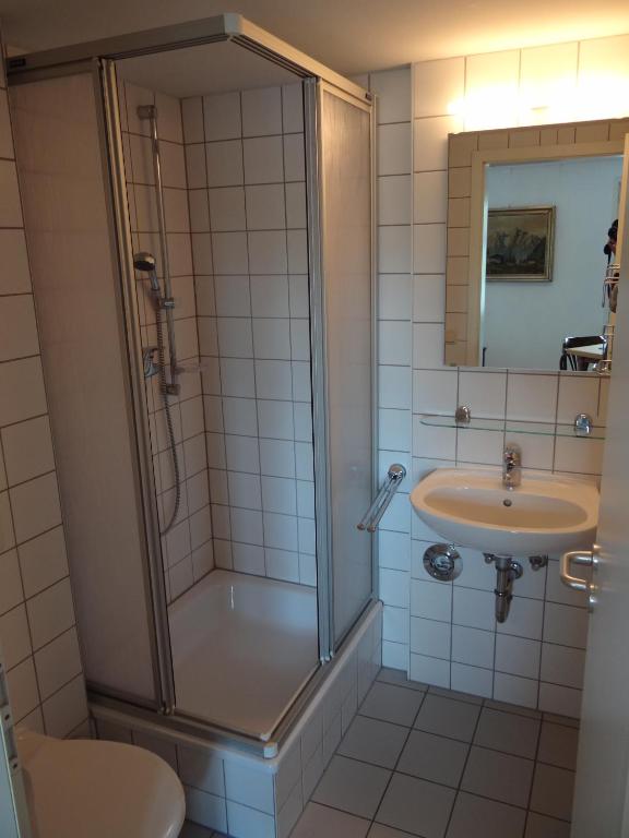 Landgasthaus zum Seysingshof - Double Or Twin Room With Shower
