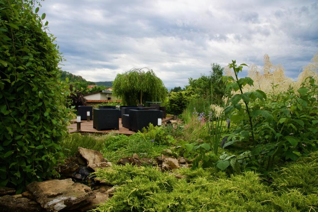 Příroda nedaleko bed and breakfast