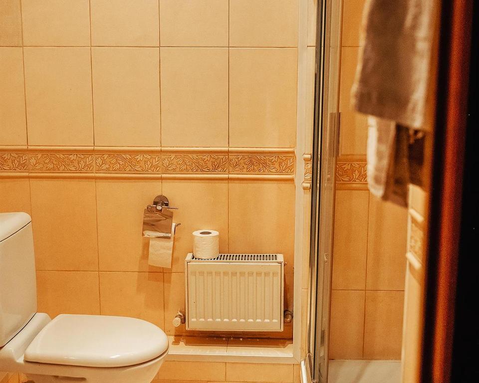 Mini-Hotel Razgulyay - Habitación Gemela Estándar