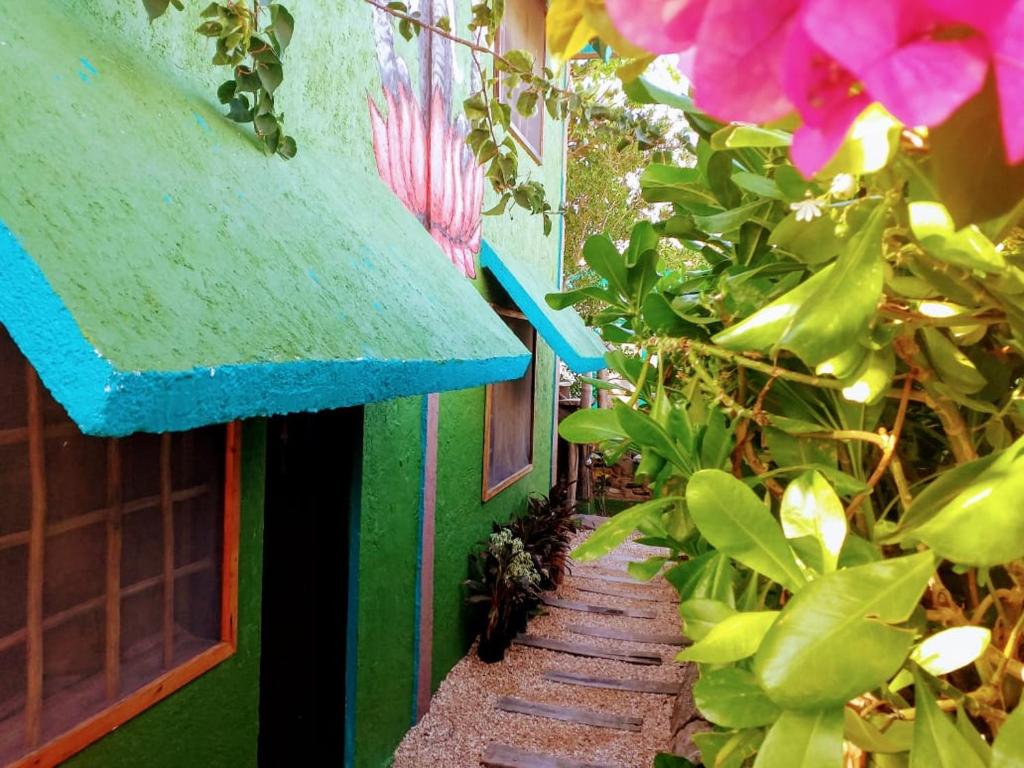 a pathway leading to a green building with plants at Hostel Utopia in Holbox Island