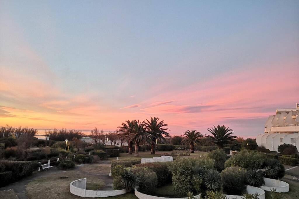 a park at sunset with palm trees and bushes at Le Cocon de Flo, studio face à la mer au couchant in La Grande-Motte