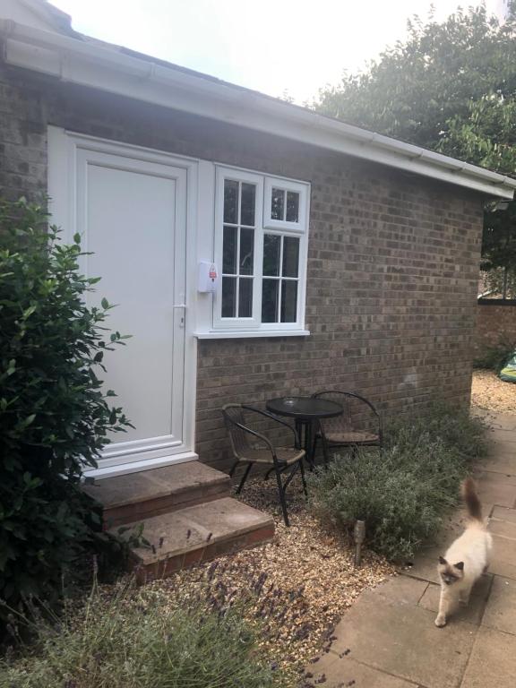 a dog standing in front of a house with a door at The Annexe II in Mildenhall