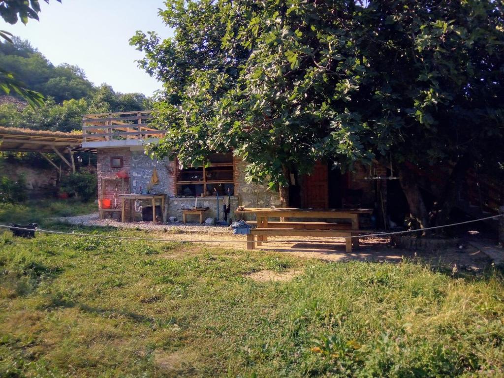 Zahrada ubytování The house in the village