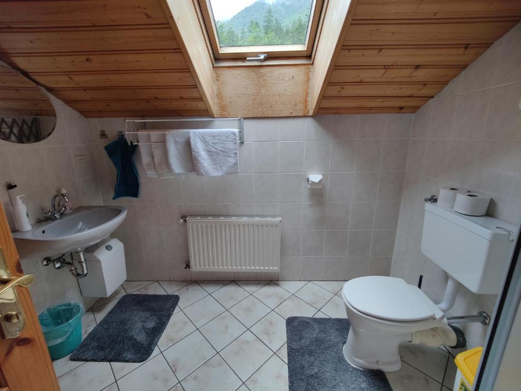 ein Bad mit einem WC und einem Waschbecken in der Unterkunft Ferienwohnung Stricker in Obertraun