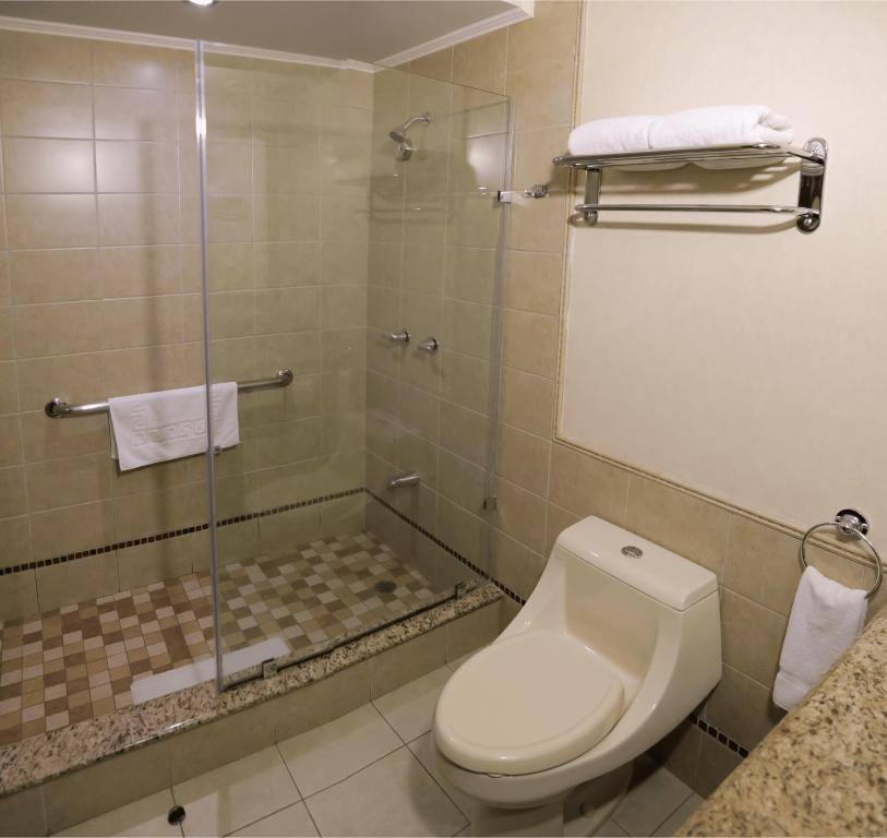 Koupelna v ubytování Hotel Plaza Juan Carlos