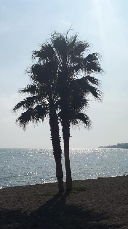 EL PARAISO GOLF Y PLAYA, Estepona – Cập nhật Giá năm 2022