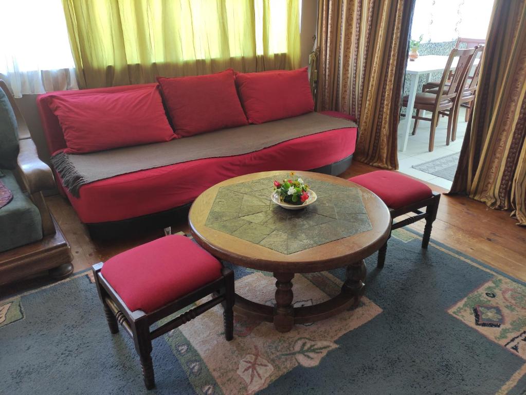a living room with a red couch and a table at Apartman Đorđević in Soko Banja