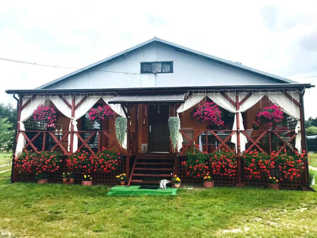 ein kleines Haus mit Blumen im Hof in der Unterkunft U Dzieciola in Zwierzyniec