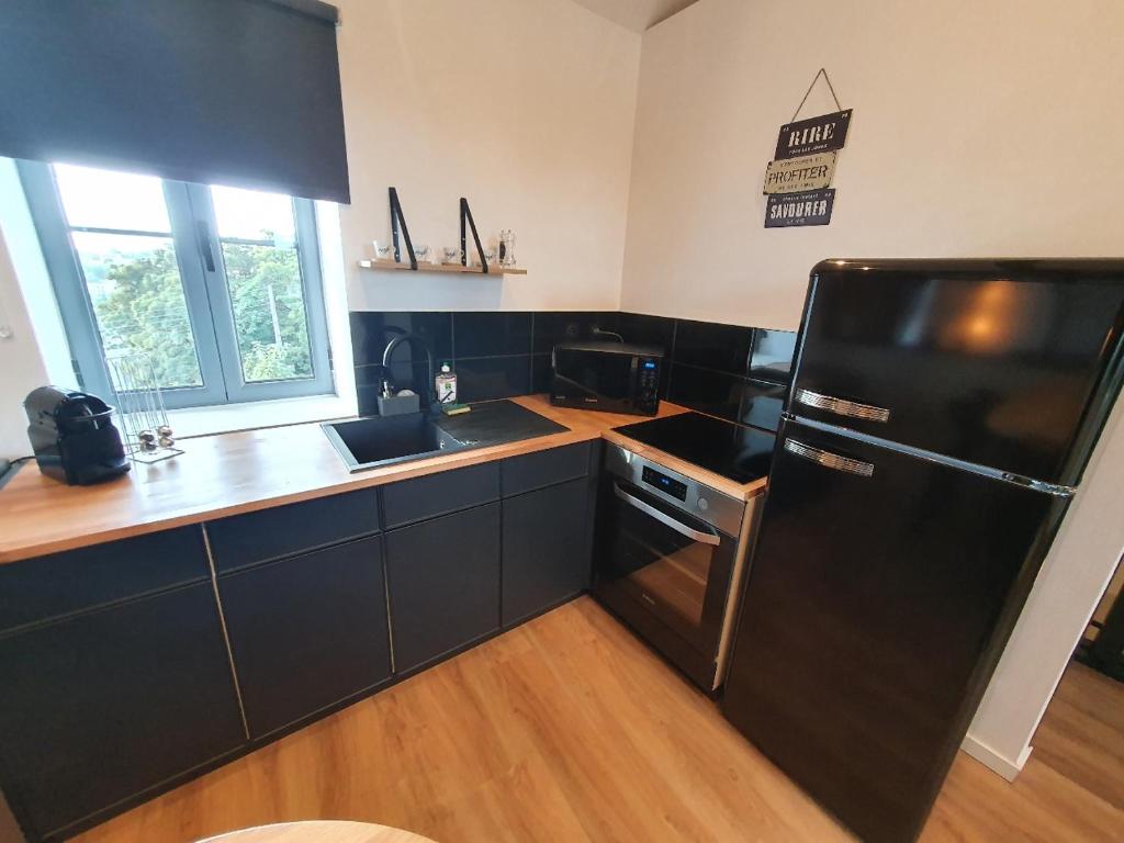 una cucina con frigorifero nero e lavandino di Le Loft de blossac a Poitiers