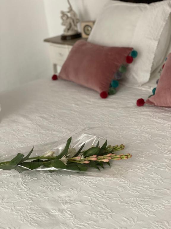 Łóżko lub łóżka w pokoju w obiekcie Lujosa suite privada en casa del S XIX