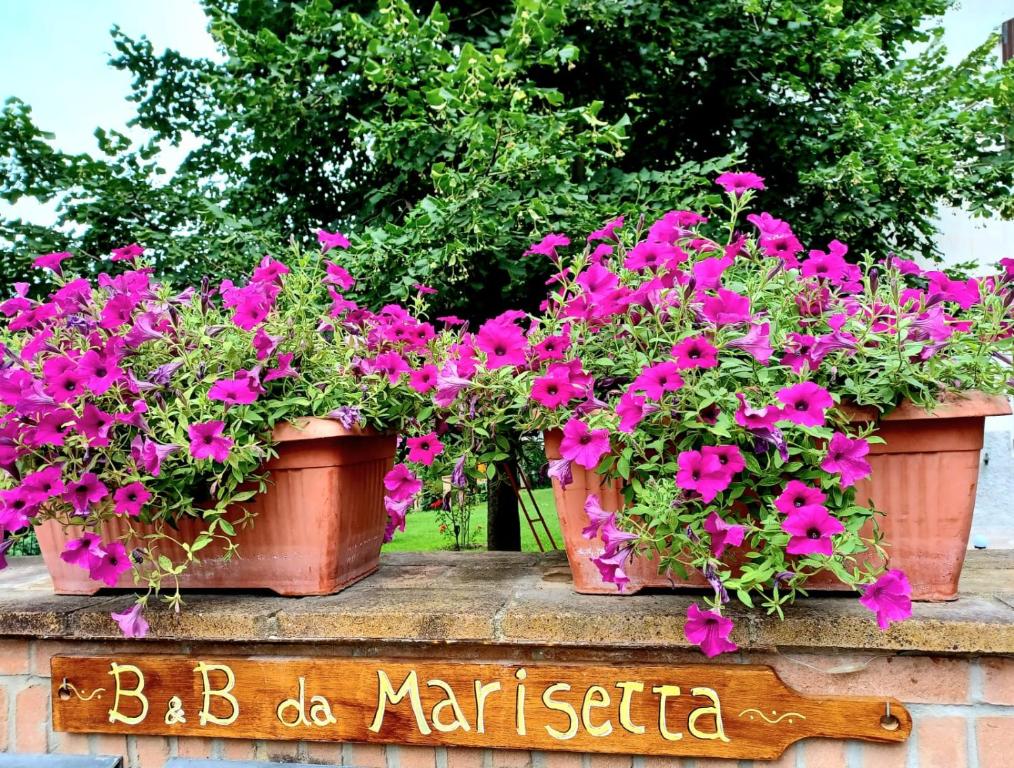 three pots of flowers on a stone wall at Da Marisetta a San Severino Marche in San Severino Marche