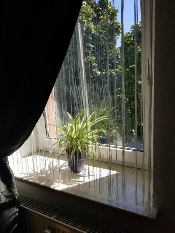 1-Zimmer Apartment in der Nähe vom Petersberg - Квартира с одной спальней