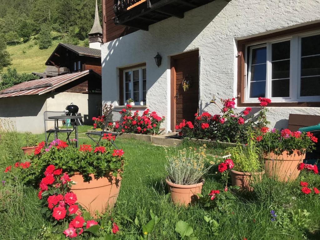 Zahrada ubytování Haus Bortis