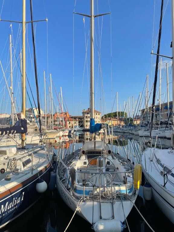 a group of boats docked in a harbor at Casa Anemos in Grado