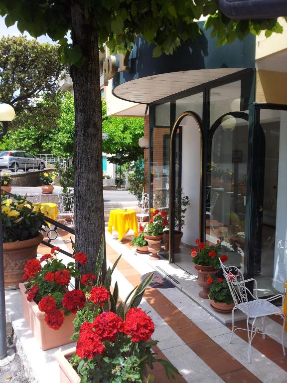 Zahrada ubytování Eco-Hotel Edy