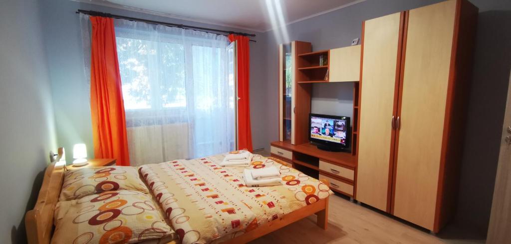 Schlafzimmer mit einem Bett, einem TV und einem Fenster in der Unterkunft Sandra Apartman in Sovata
