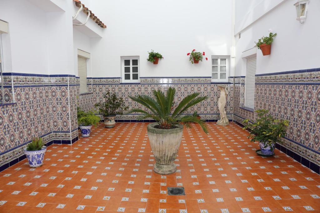 a courtyard with potted plants and a cat in a building at Hostal La Janda in Vejer de la Frontera